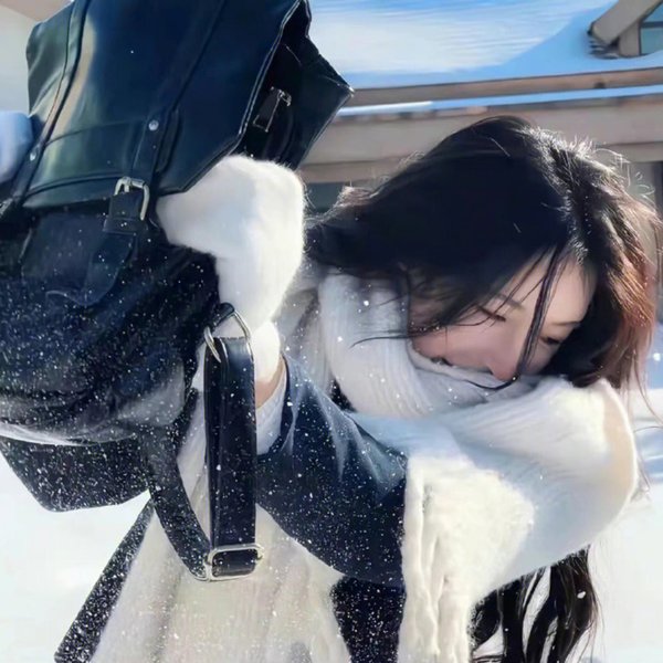 一只小蜘蛛